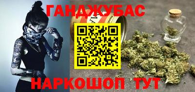 дмт Будённовск